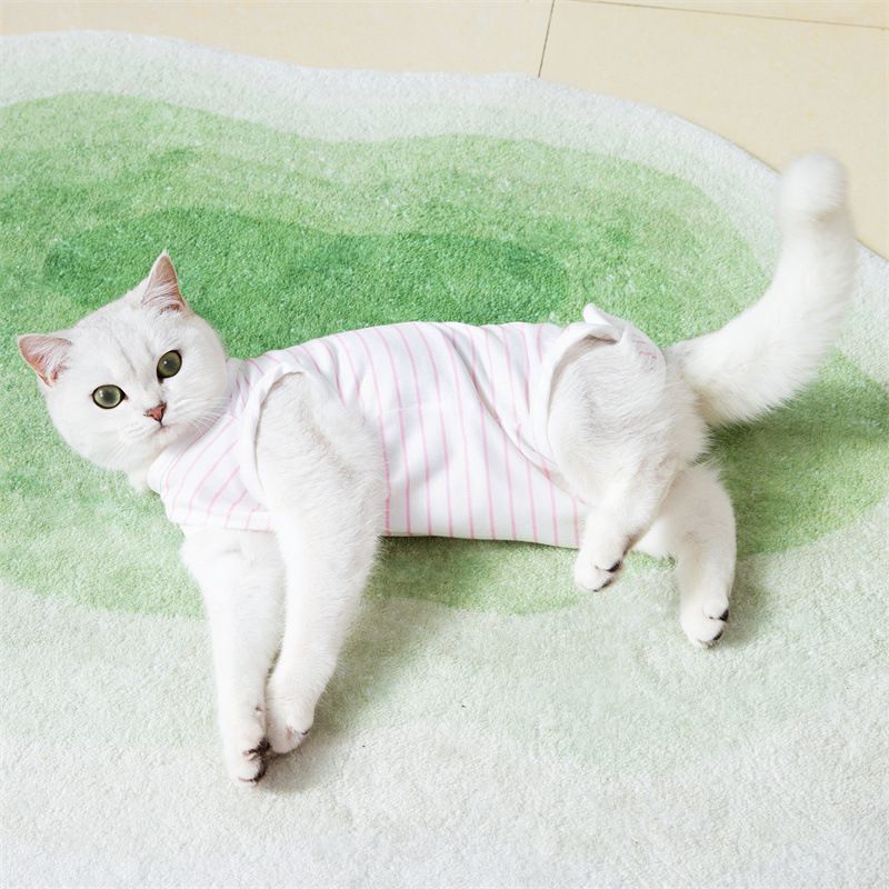 Ceinture ventrale pour chat, chaton mignon, récupération postopératoire, vêtements de stérilisation à rayures fines, poils raides, animal de compagnie_voghion.com