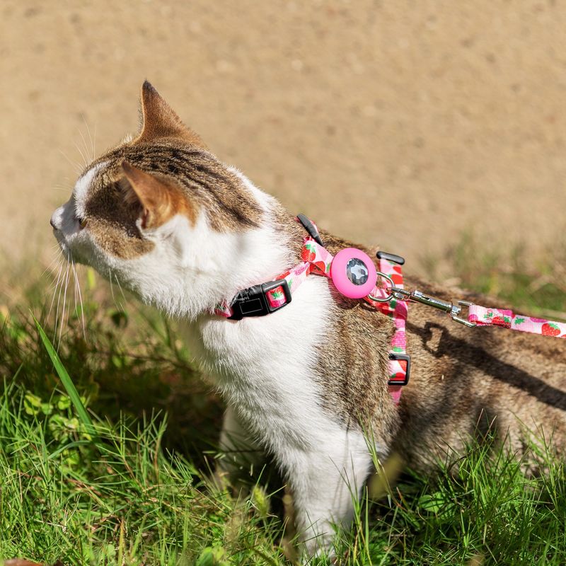 Novo conjunto de corda de tração anti-fuga ajustável cinta de peito para gato - confortável e macio_voghion.com