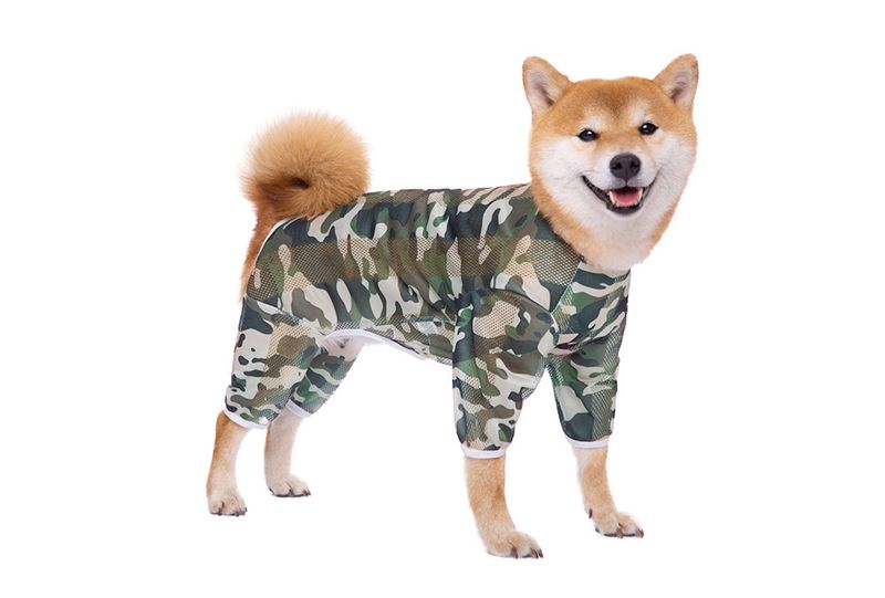 Spring and Autumn Summer Mesh Print Labrador Dog Golden Retriever Medium and Large Dog Four-Legged Cross-Border Pet Dog Clothes_voghion.com