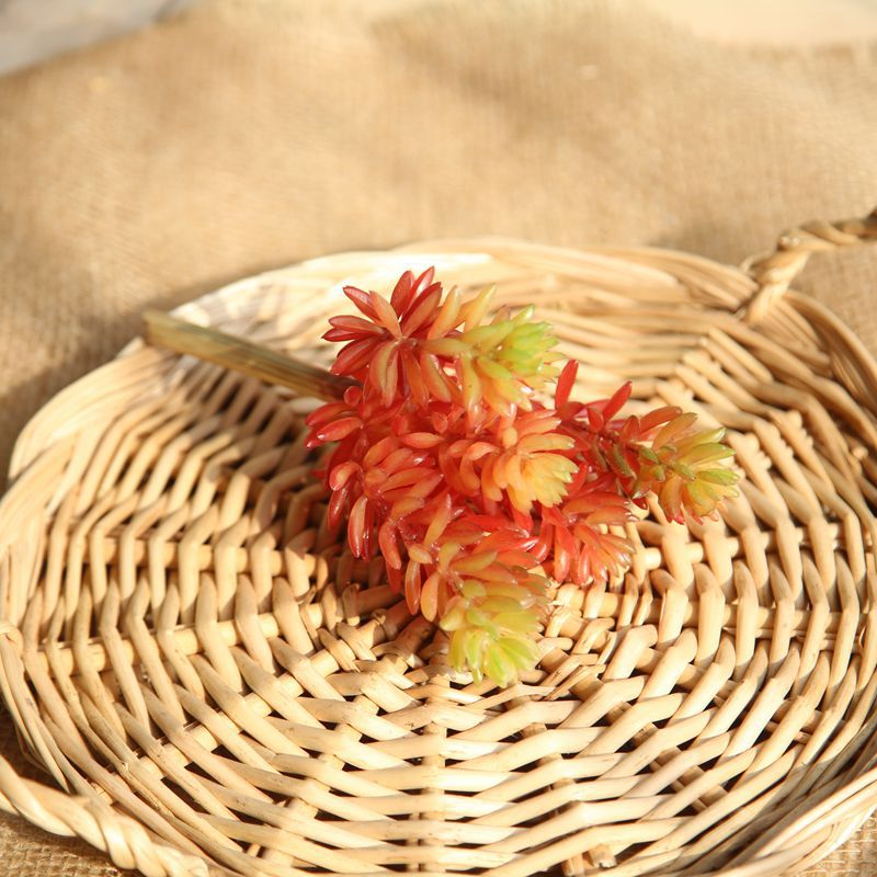 Succulent plant artificial flower six-headed jade lotus home wedding bouquet flower wall plant wall artificial flower MW17692_voghion.com