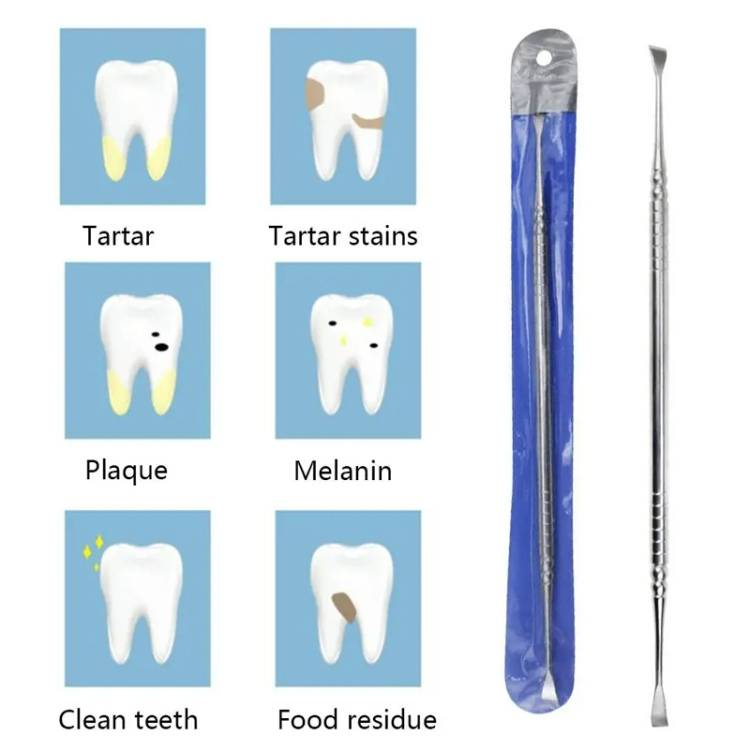 Dog Decalcification Tip Scraper Pet Teeth Cleaning Tool_voghion.com