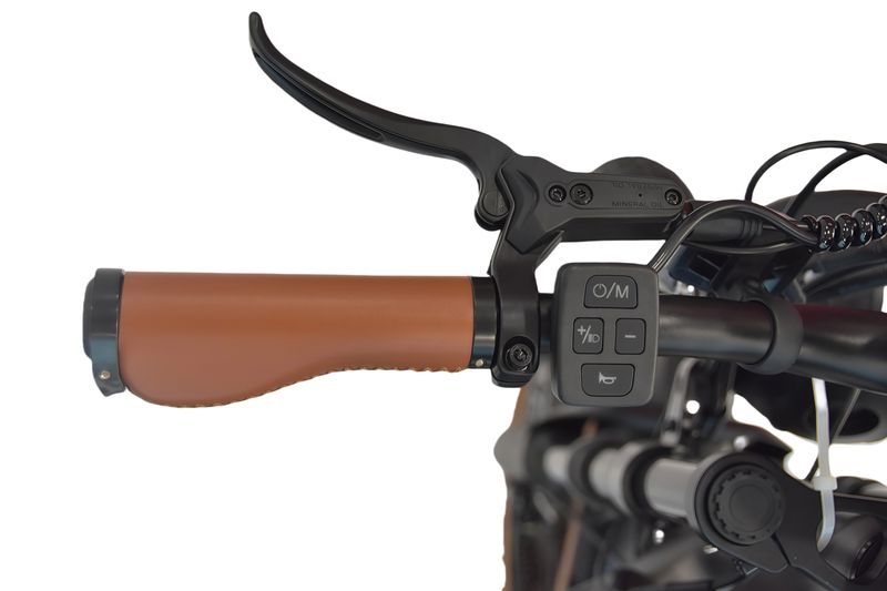 DYU M20 Elektro-Dirtbike 20 Zoll mit 48 V 18,2 Ah Batterie_voghion.com