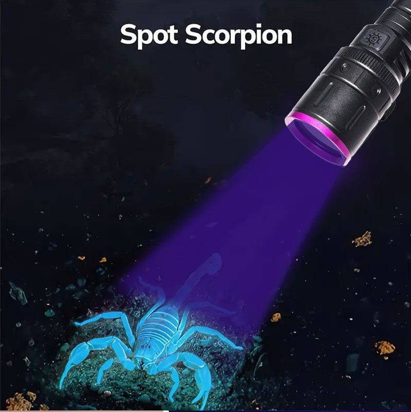 Uus UV365 must peegellilla lamp lemmiklooma tuvastamiseks, pangatähtede kontrollimiseks, võltsimisvastaseks, suure võimsusega ultraviolettkiirguseks_voghion.com