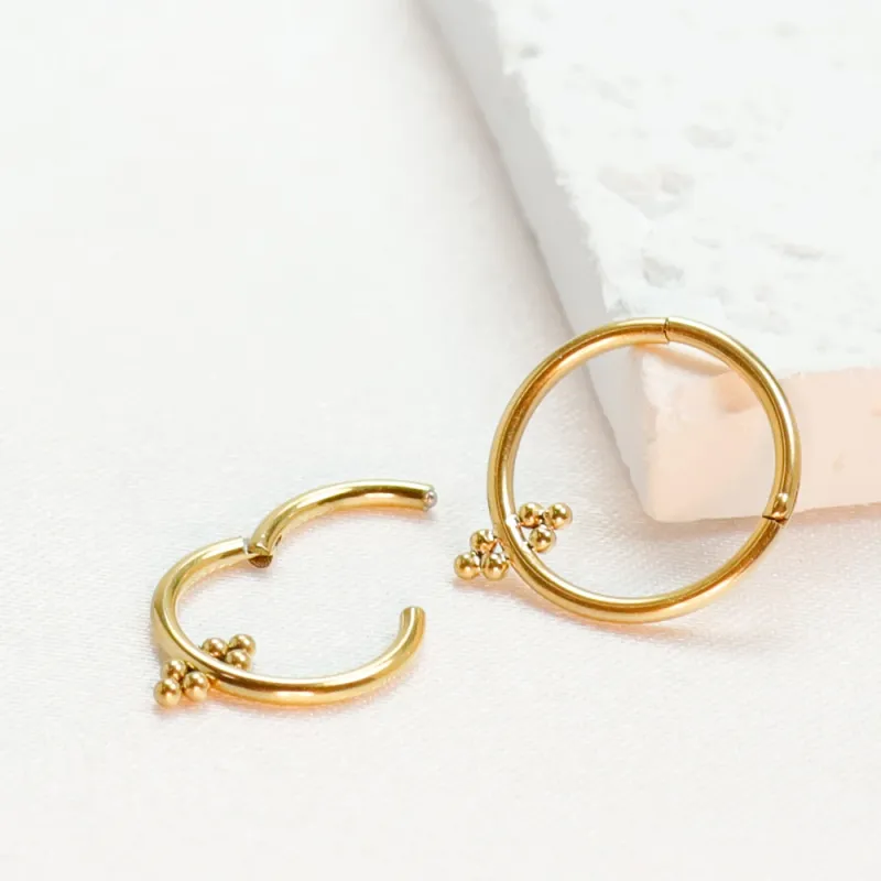 F136 Anelli al naso in titanio e zircone Piercing al setto Cartilagine Segmento incernierato Spirale 16G Orecchini Trago Elica Regalo Gioielli all'ingrosso_voghion.com