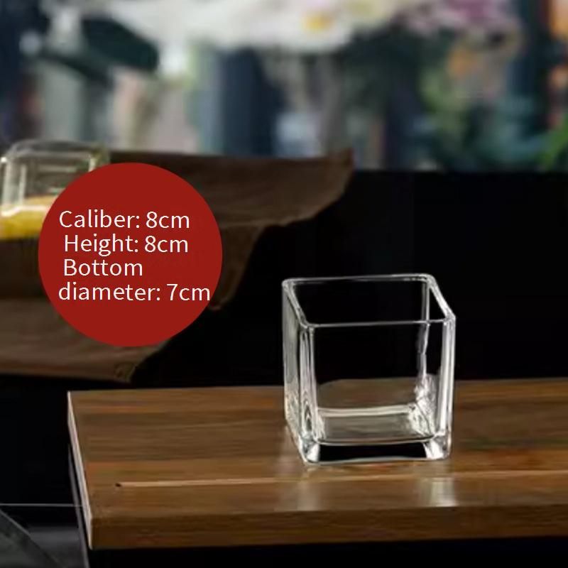 Home Decor Simple Hydroponic Vase Transparent Square Tank Water Growing Lily Tulip Daffodil White Palm Vessel Living Room Small Flower Pot_voghion.com
