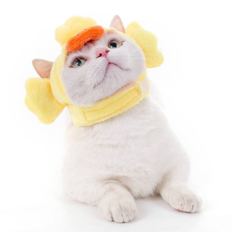 Zachte kattenhoofddeksel, kat, hond, kruisjurk, huisdierhoed_voghion.com