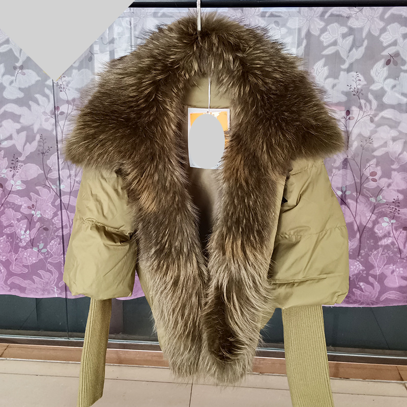 Abbigliamento da donna Giacca calda invernale da donna in vera pelliccia di procione con collo in vera pelliccia_voghion.com