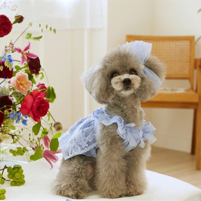 Vestito estivo da principessa con maniche a palloncino in pizzo per animali domestici 2025 per cani e gatti Teddy Bichon, vestiti sottili + copricapo_voghion.com