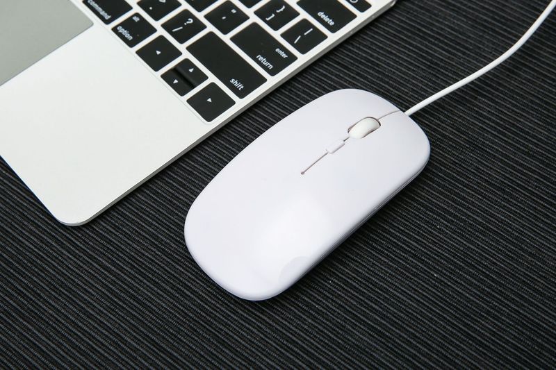 Ultra-Thin USB & Type-C Wired Silent Mouse, 4 Adjustable DPI (1600DPI), Ergonomic Design For Laptop/Desktop/Phone, Plug & Play_voghion.com
