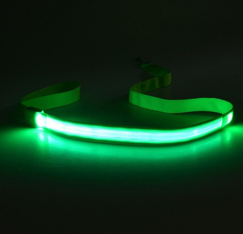 LED Pet Harness Light-Up / USB Flashing Light Leash Dog Rope_voghion.com
