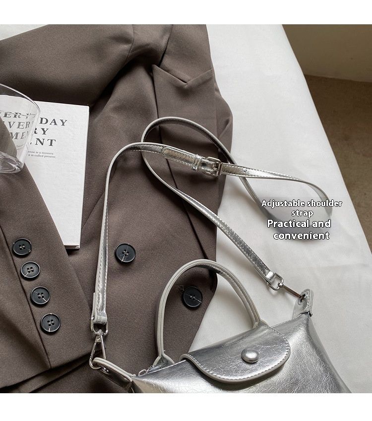 This Year's Popular Small Bags For Women In Spring New Crossbody Bags High-end Hand-held Shoulder Bags Versatile Dumpling Bags_voghion.com