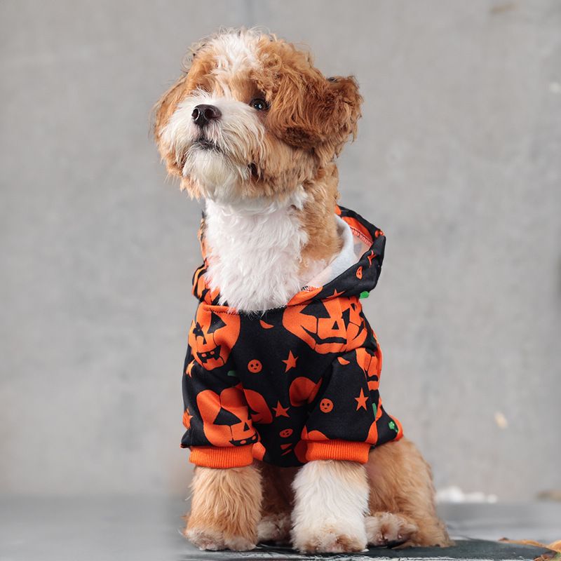 Felpa con cappuccio e zucca per animali domestici, carina e divertente, per Halloween, vestiti per cani di piccola taglia Bichon_voghion.com