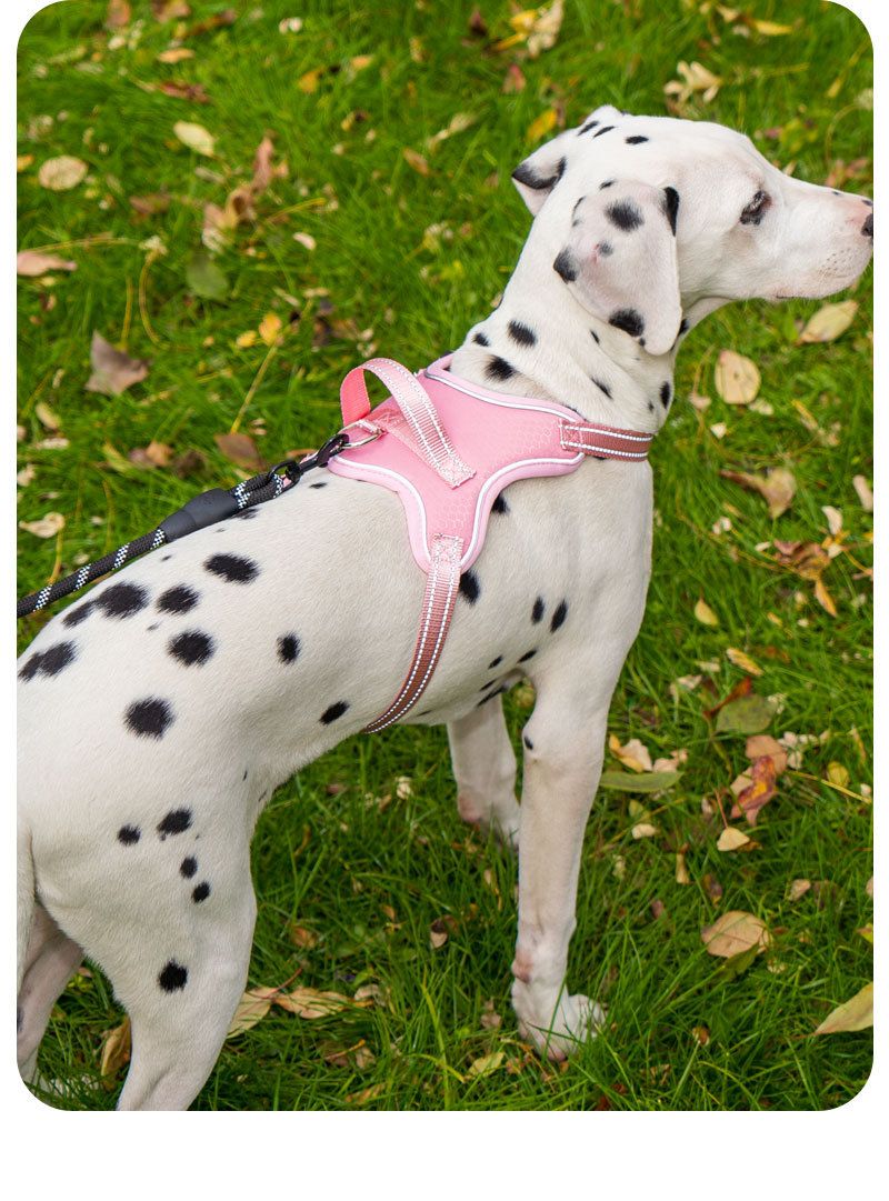 2025 New Pet Harness Saddle Shape Lightweight Dog Walking Leash For Small And Medium Dogs_voghion.com