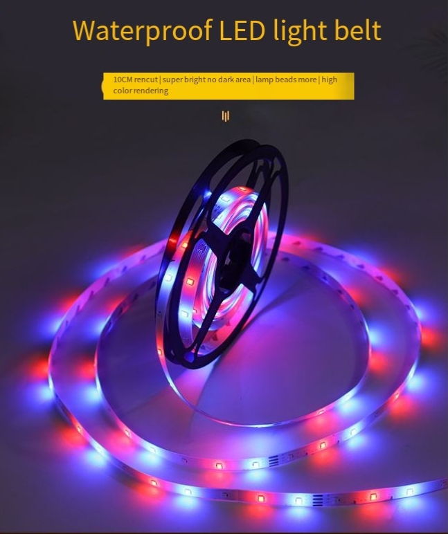 Lichtleiste LED-Streifen selbstklebend 2835rgb LED-Lichtleiste 12V buntes Neonlicht 5 Meter Außen Niederspannung_voghion.com