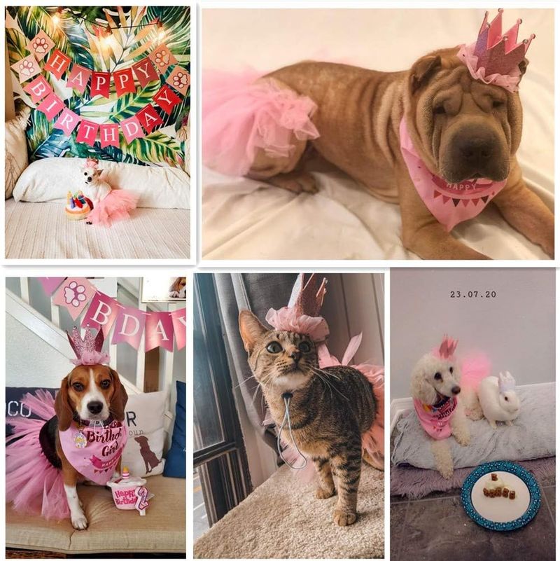20set/6/12buc Lumânări de ziua de naștere pentru animale de companie/câine pisică Lumânări spiralate pentru tort Lumânări lungi și subțiri pentru tort pentru petrecere de nuntă și decorare tort_voghion.com