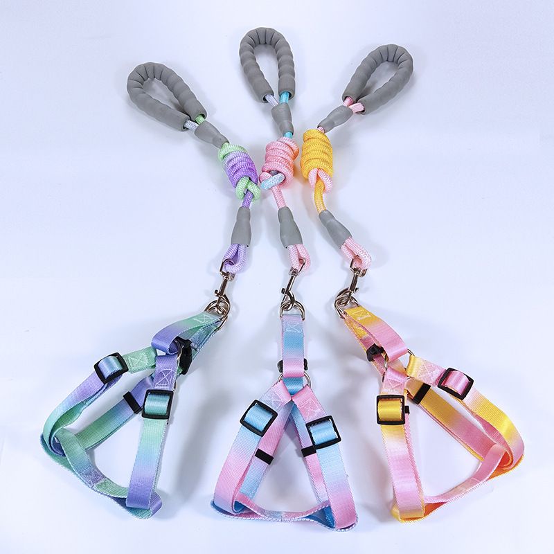 Guinzaglio Dopamina Gradient Color Gilet Pettorina Catena Corda per Cani_voghion.com
