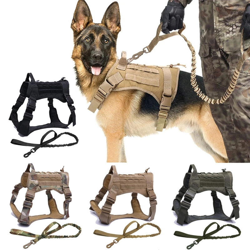 Taktiska selar Husdjursträningsväst Hundsele och koppelset för små medelstora hundar Promenad Jakt Gratis frakt_voghion.com