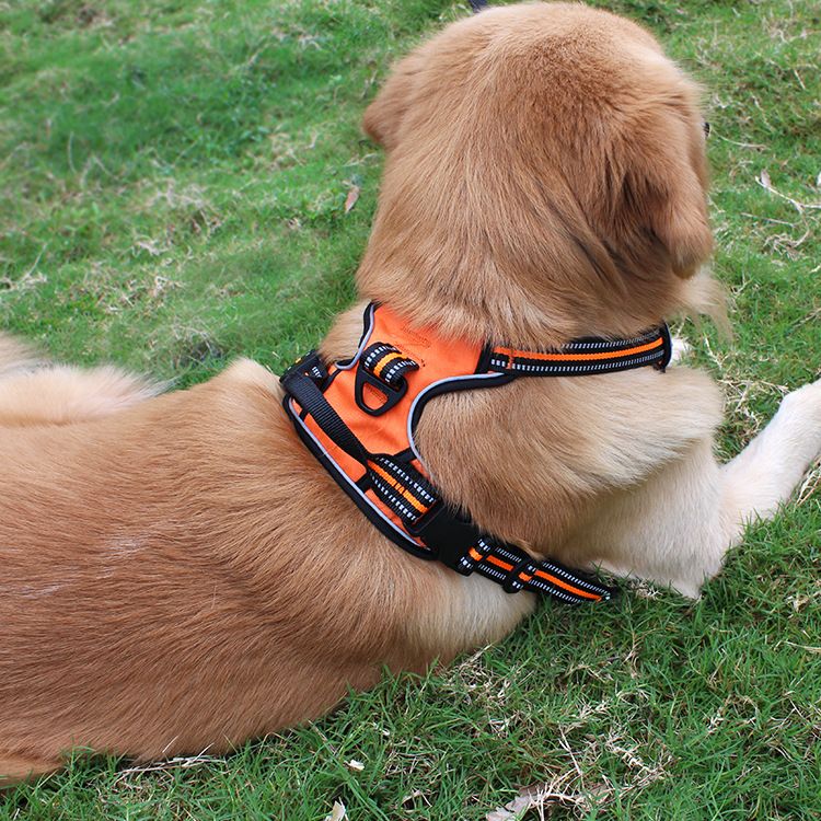 Spring And Summer Breathable Dog Leash Chest Harness Vest Style Pet Supplies_voghion.com