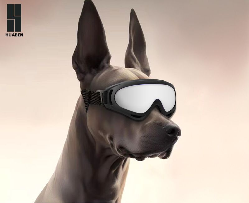 per Bichon, Teddy, Bulldog francese, occhiali antivento per cani poliziotto di celebrità di Internet, Border Collie, occhiali da sole per Corgi,_voghion.com