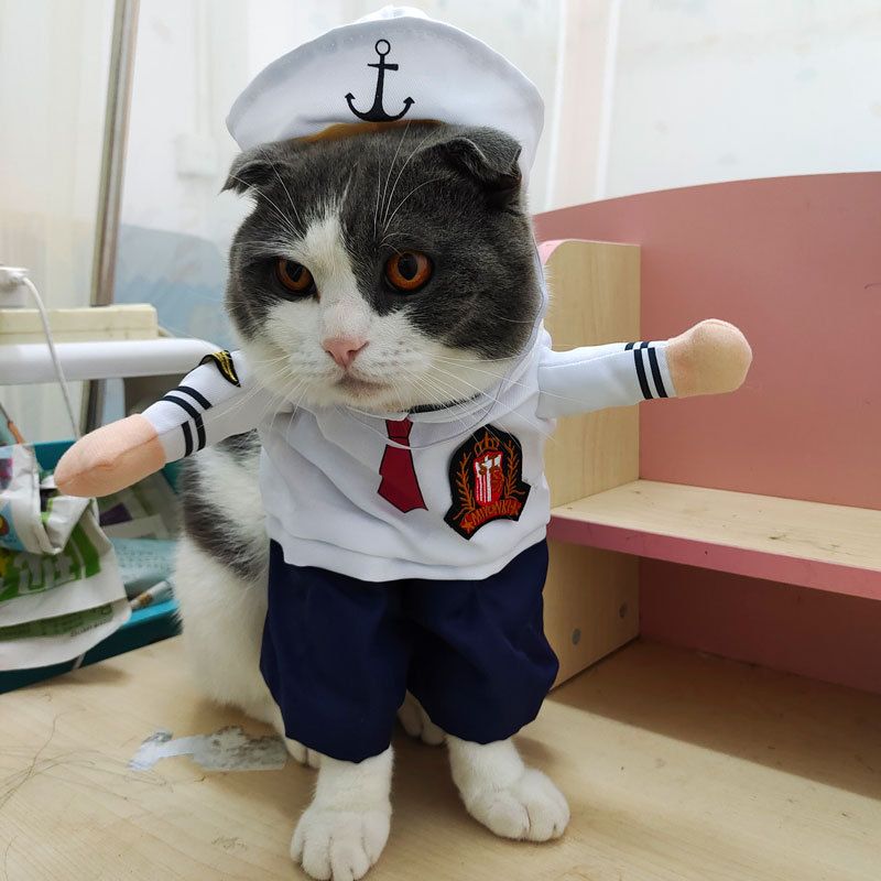 Spring And Autumn Pet Clothing Cute Funny Quirky Costume Hilarious Cat Dog Clothes Standing Transformation Outfit 3D_voghion.com