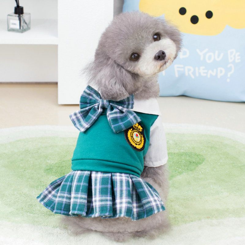 Puppy Spring New 23 College Style Couple Set Teddy Bichon Casual Fashion Dog Clothes_voghion.com