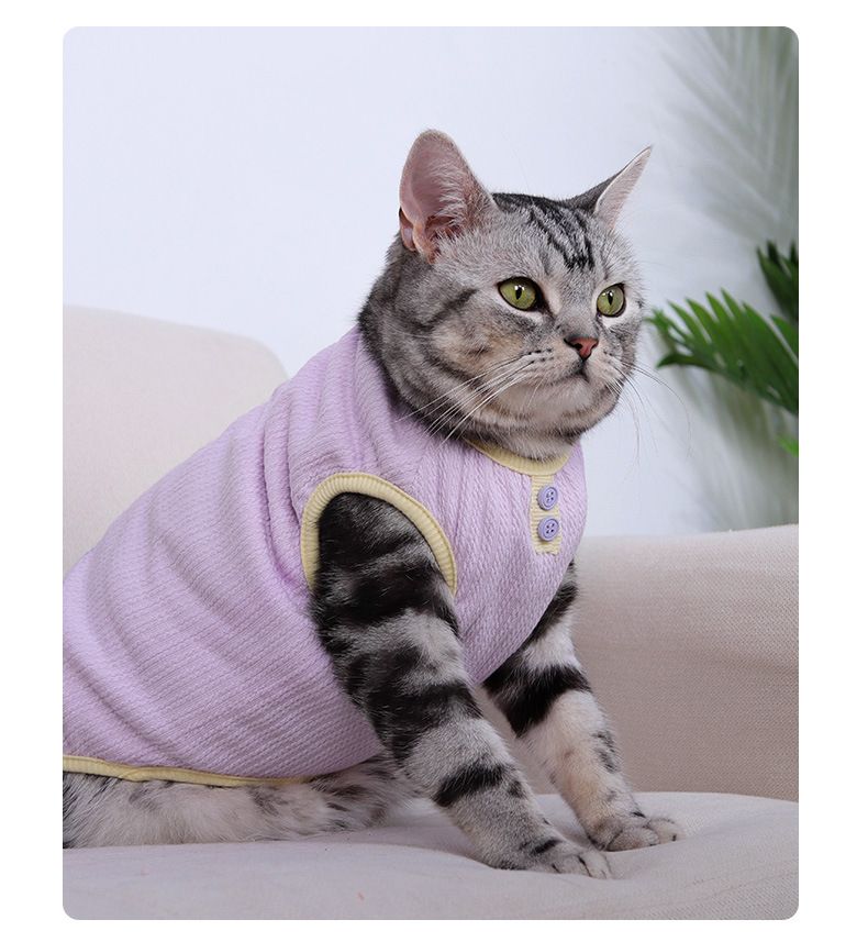 Nuovi vestiti per gatti, autunno e inverno, stile coreano, gilet spesso, abbigliamento per animali domestici, Teddy Bichon, cani di piccola taglia_voghion.com