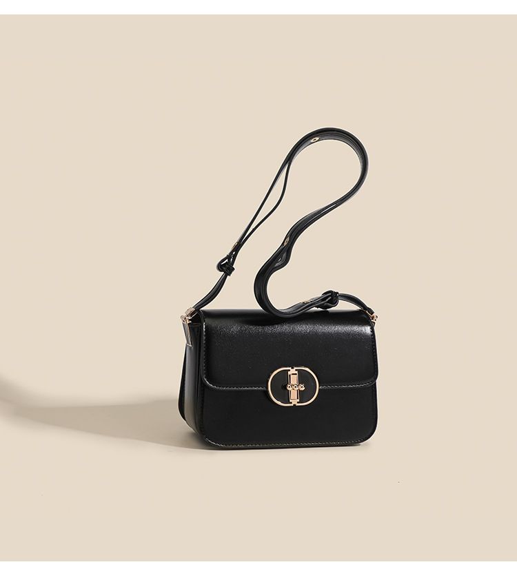 High-end Small Square Women's 2024 New Lock Buckle Fashion Simple Commuting Single Shoulder Crossbody Bag_voghion.com