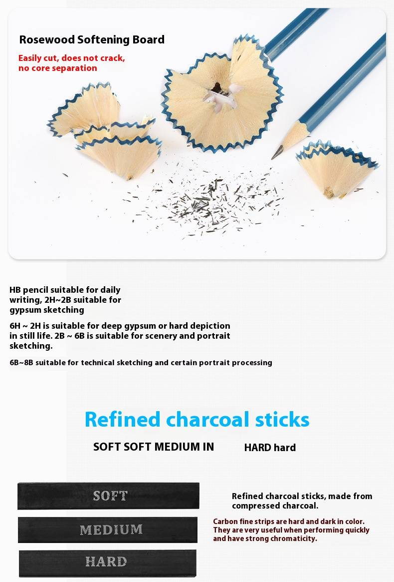 H&B 33-teiliges Skizzierstifte-Set für Anfänger – Professionelles Zeichenset mit HB-Graphitstiften, Kohlestiften, Papierwischern und Nylonetui_voghion.com