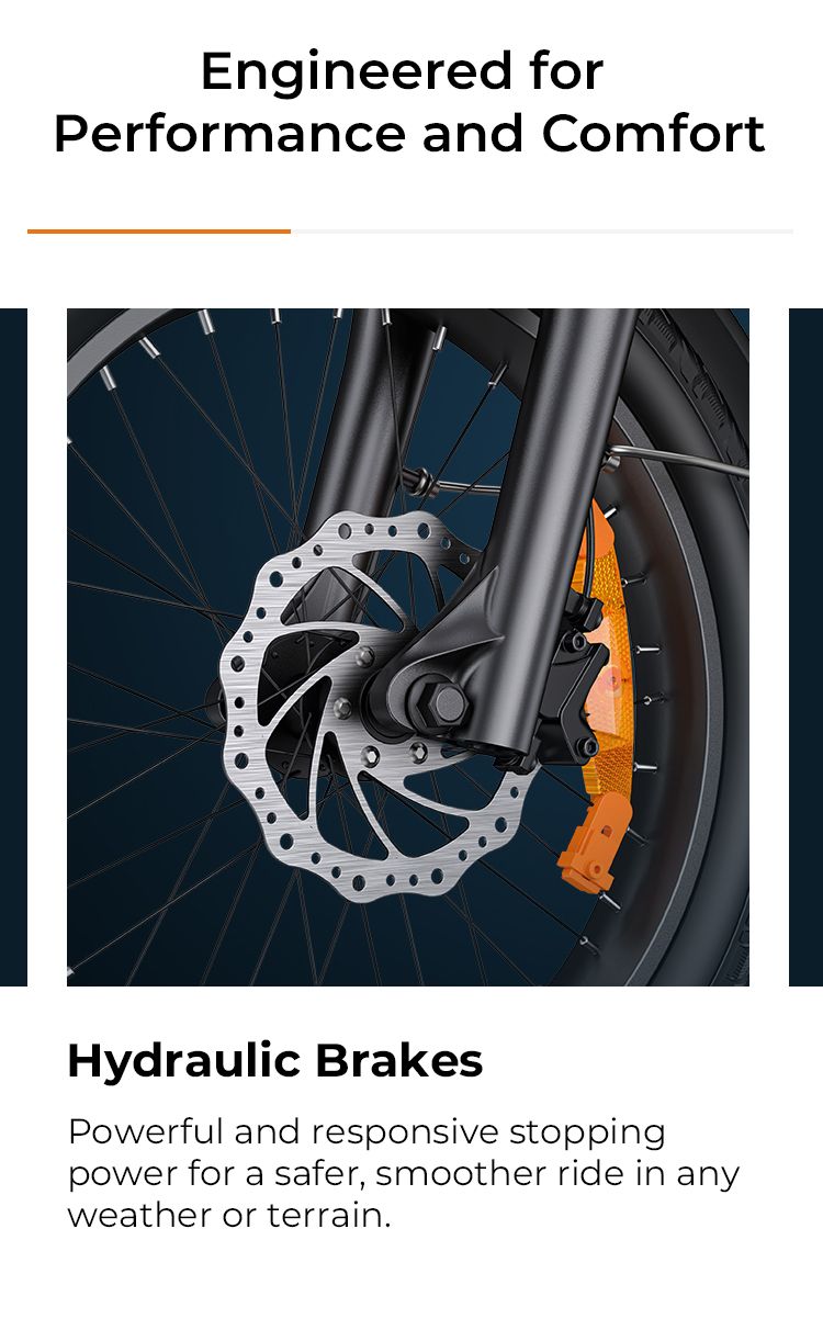 ENGWE EP-2 BOOST E-Mountain Bike 20X4.0 pollici Pneumatici per tutti i terreni Bicicletta elettrica Bicicletta elettrica pieghevole_voghion.com