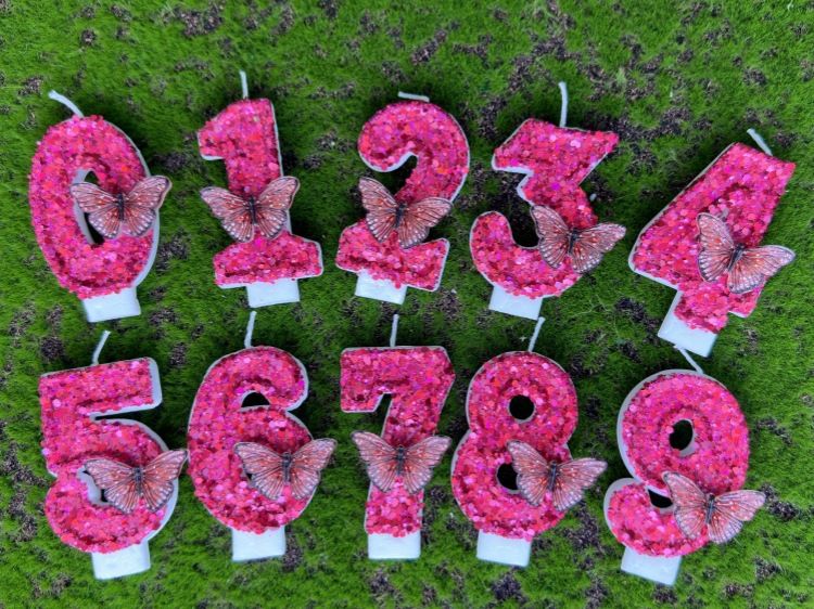 Digital Cake Party Decoration Birthday Candle DIY Rose Red Butterfly_voghion.com