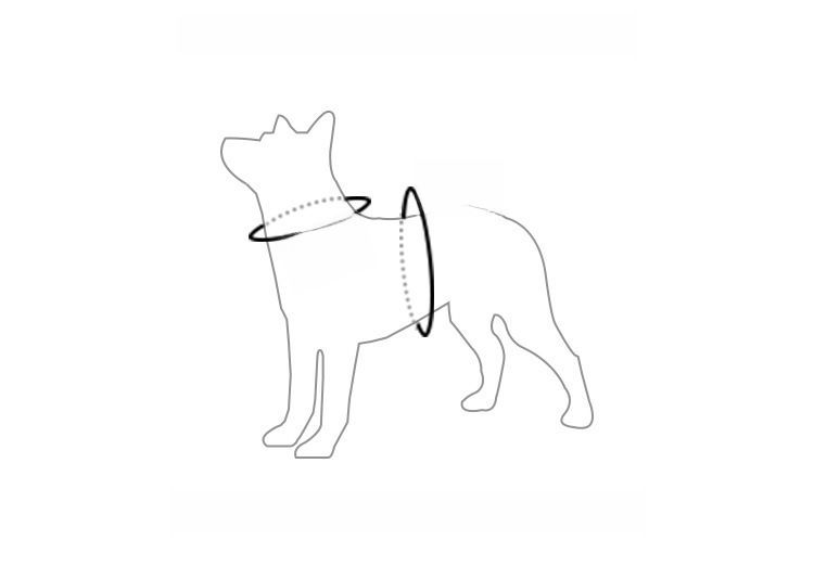 Cross-border Pet Clothes Dog Cotton-padded Coat Thickened Puppy Clothes Dog Cotton Vest Autumn and Winter Pet Ski Suit_voghion.com