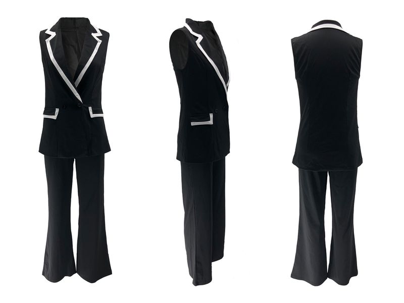 Damenbekleidung Mode Lässig Revers Schlank Ärmellos Hose Pendeln Zweiteiliger Anzug_voghion.com