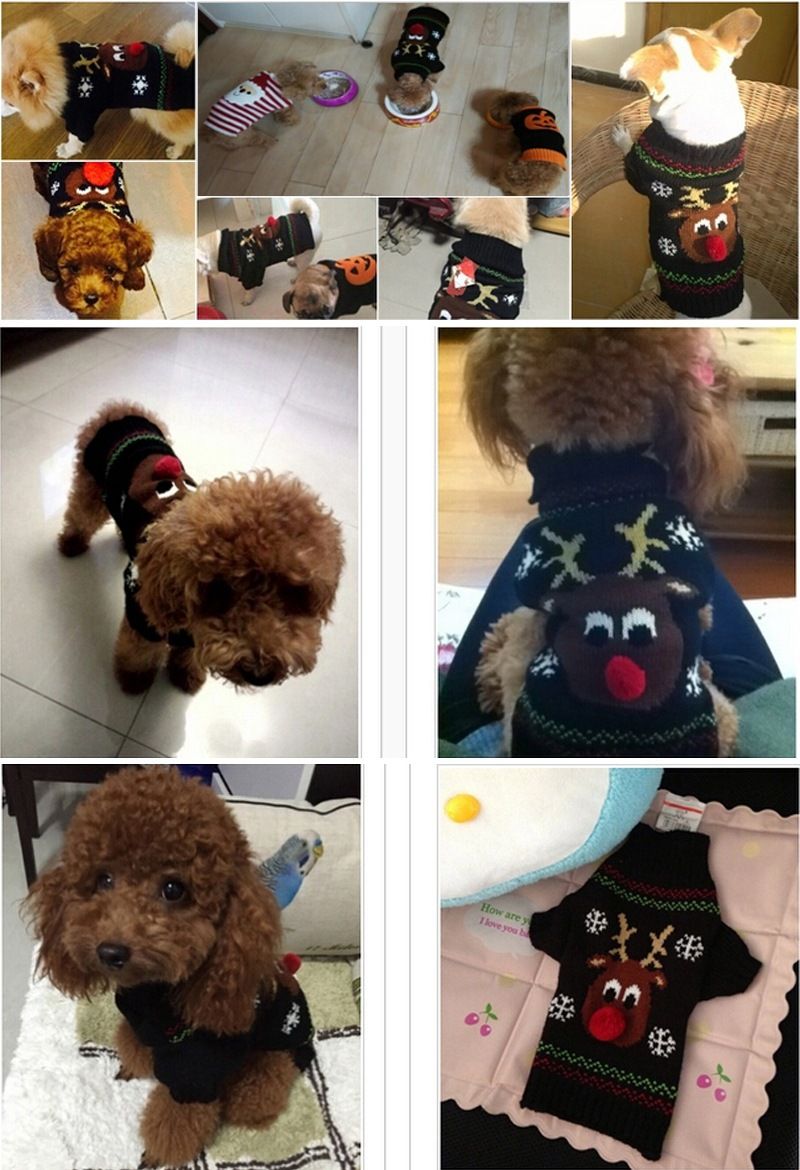 Christmas pet Clothing Red Nose Deer pet sweater Poodle Teddy Small medium large dog sweater_voghion.com