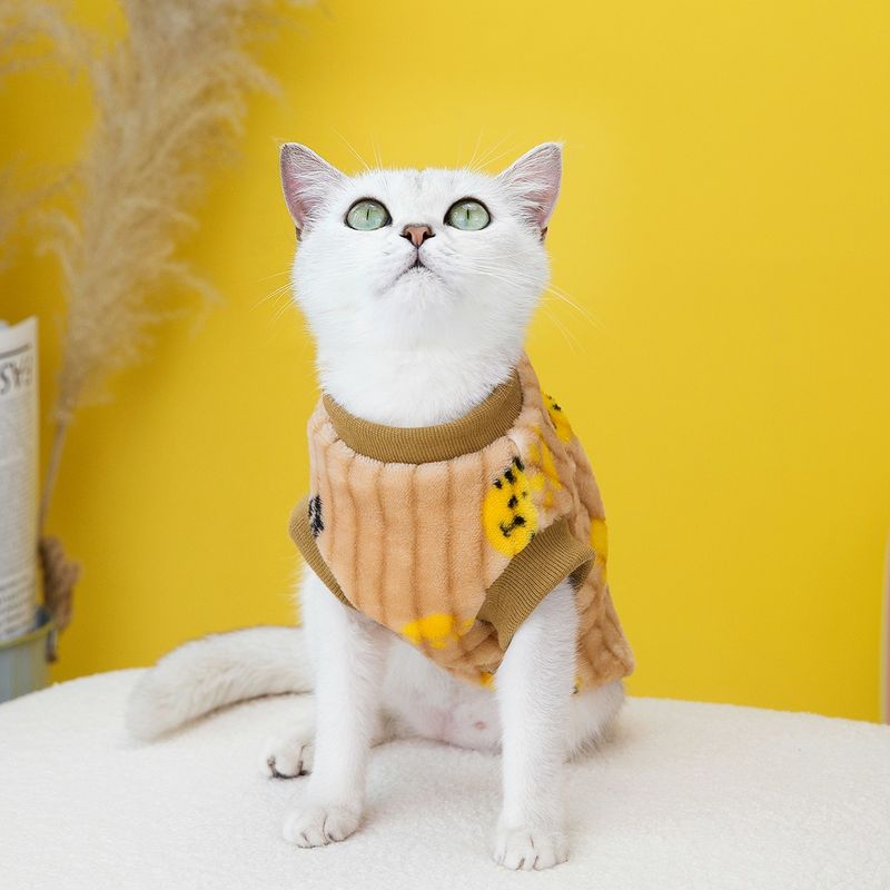 Haustierkleidung, Baumwollweste, blaue Katzenkleidung, neue Herbst- und Winterkollektion, 23 kleine Tiger-Samtkleidung_voghion.com