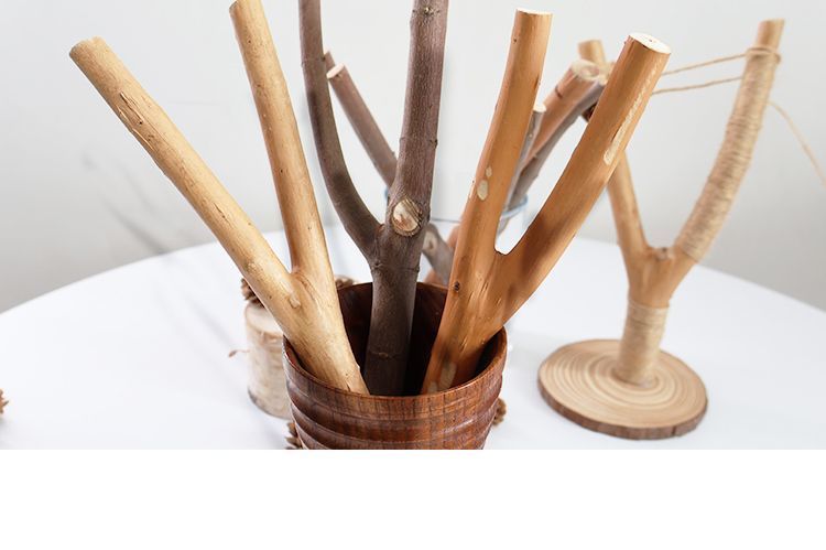 Décoration de branche en forme de Y Branches d'arbre fourchues sèches pour jardin d'enfants Matériaux créatifs faits à la main DIY_voghion.com