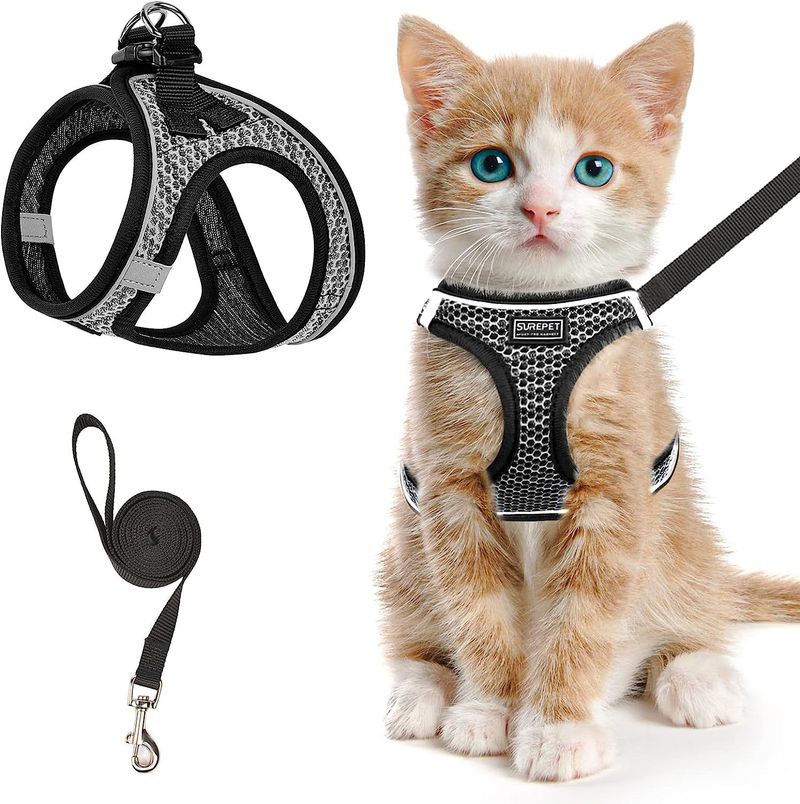 Harness Cat Collar Vest Style Leash Reflective Breathable Dog Rope Pet Supplies_voghion.com