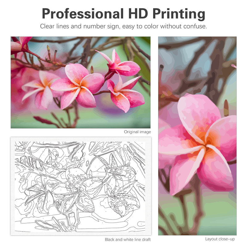 RUOPOTY Classic Paint By Numbers Kits Lærredsmaling Rød Frangipani Painting Numbers Stue dekoration Unik gave_voghion.com