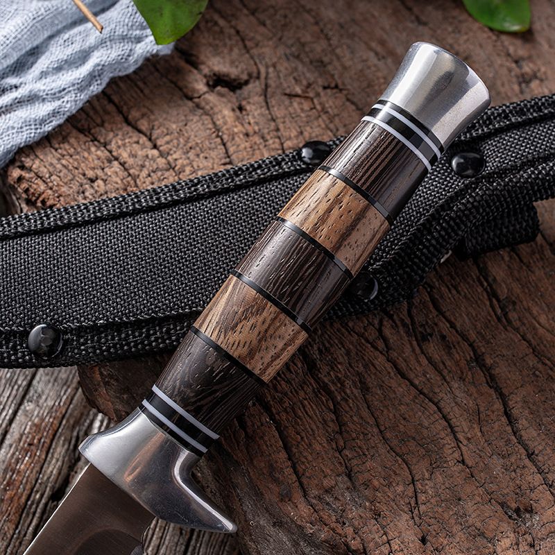 Coltello da frutta portatile in acciaio inossidabile, piccolo e multiuso, per carne, barbecue, da esterno, da pranzo_voghion.com