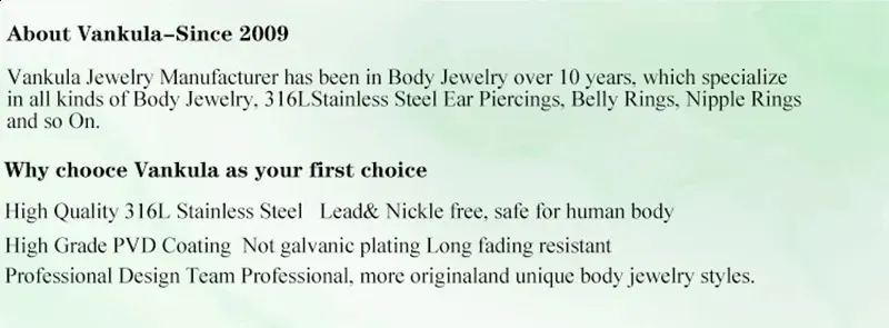 Vankula 2 pezzi dilatatori per le orecchie in acciaio inossidabile 316L, cerchietti per piercing, pesi per gioielli per il corpo in carne 241217_voghion.com