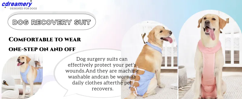 Set chirurgico per cani, set per il recupero degli animali domestici, set chirurgico per la sterilizzazione dei cani, stile bendaggio, abbigliamento postoperatorio semplice_voghion.com