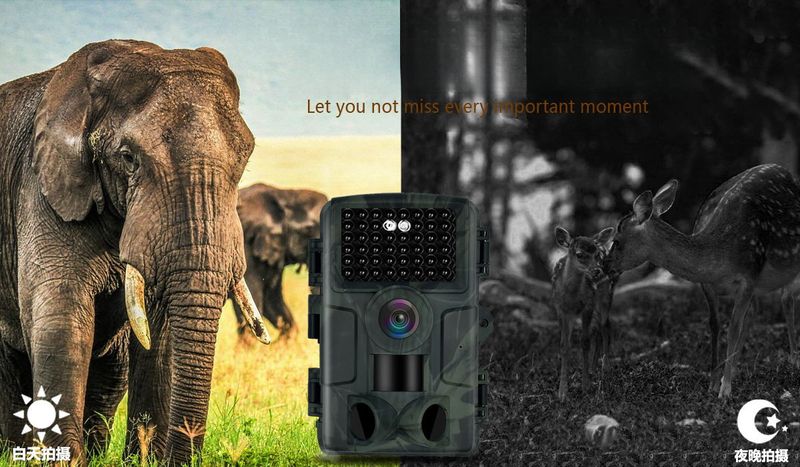 48.0million Pixel IP66 Waterproof 2.7K HD Outdoor Infrared WIFI Version Hunting Camera_voghion.com