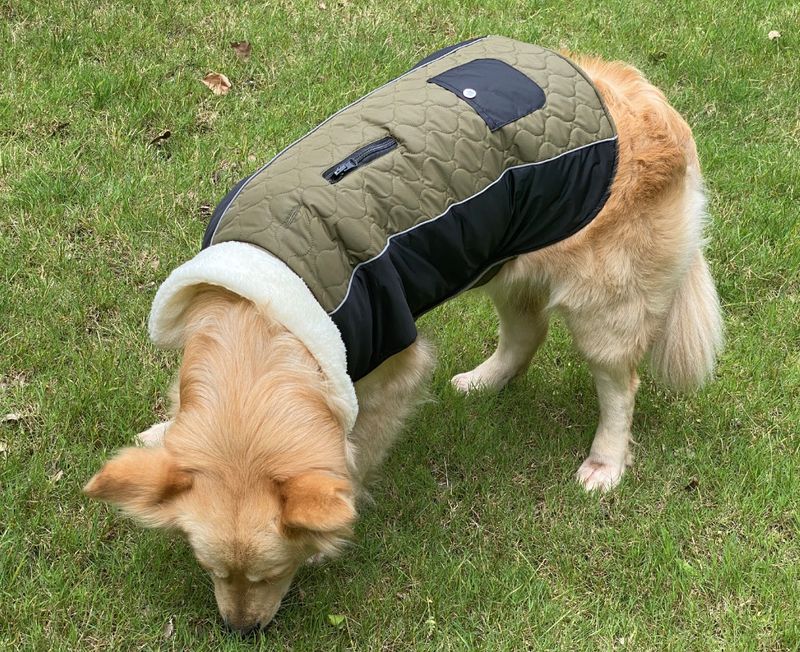 Pocket new pet clothes autumn and winter dog clothes vest cotton coat double sided wearable dog clothes coat clothing_voghion.com