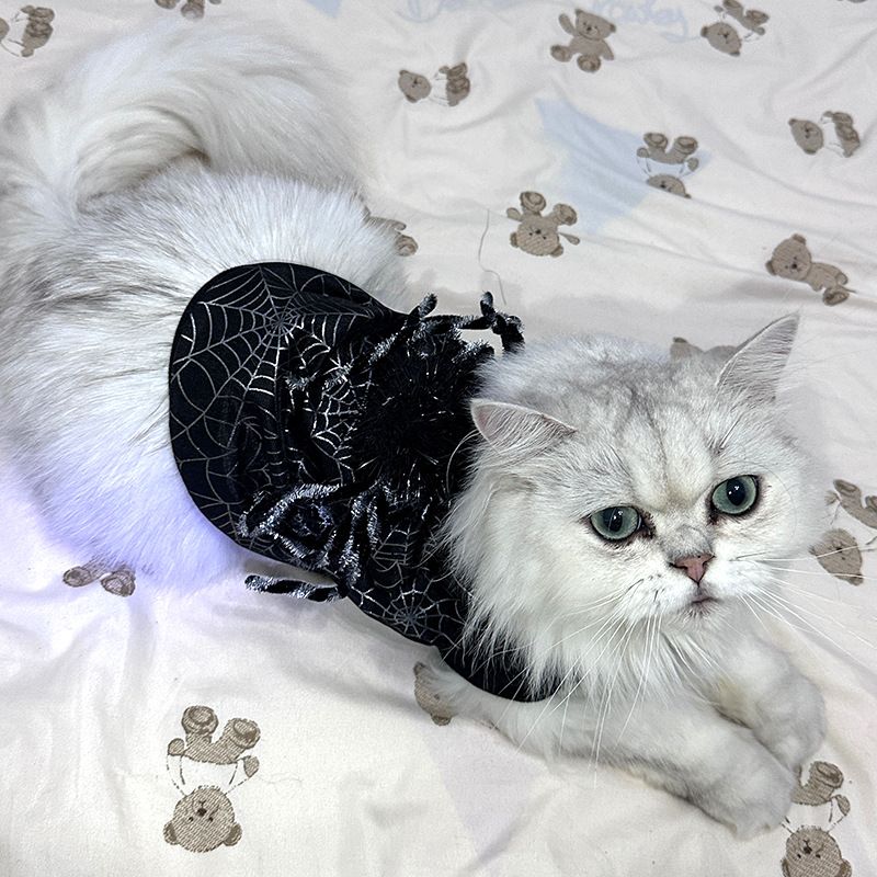 Costume da trasformazione per cani e gatti di Halloween, stile felpa nera a due zampe, ragnatela_voghion.com
