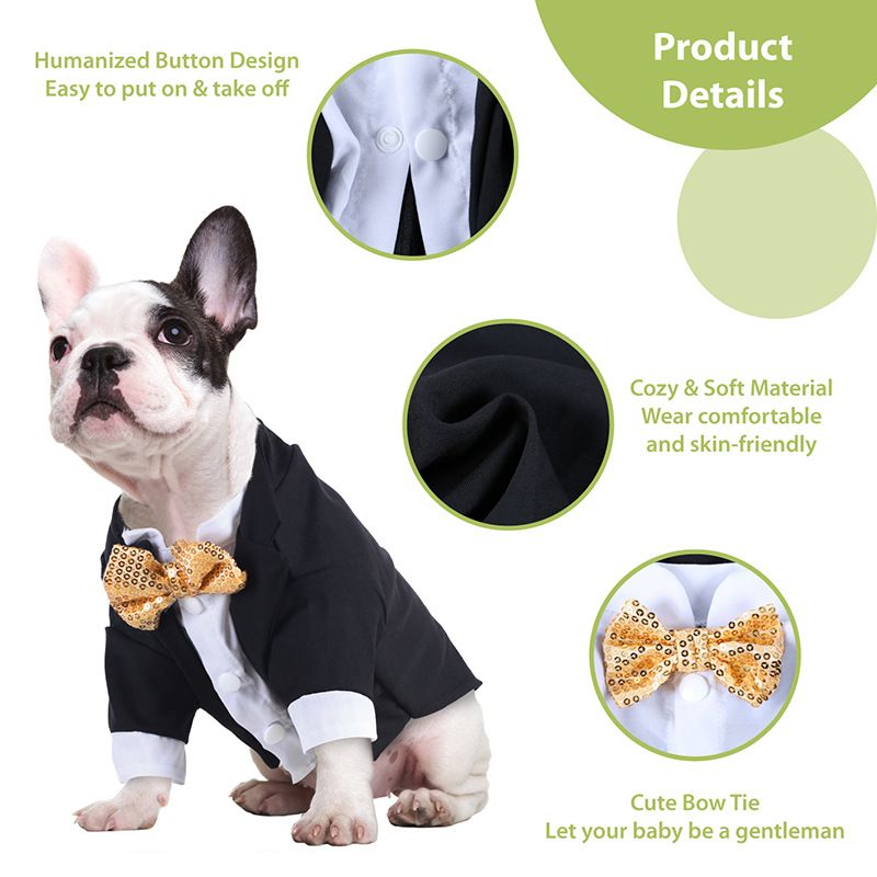 Vêtements pour chiots, smoking, robe de mariée, costume, Teddy, petit chien, vêtements pour animaux de compagnie_voghion.com