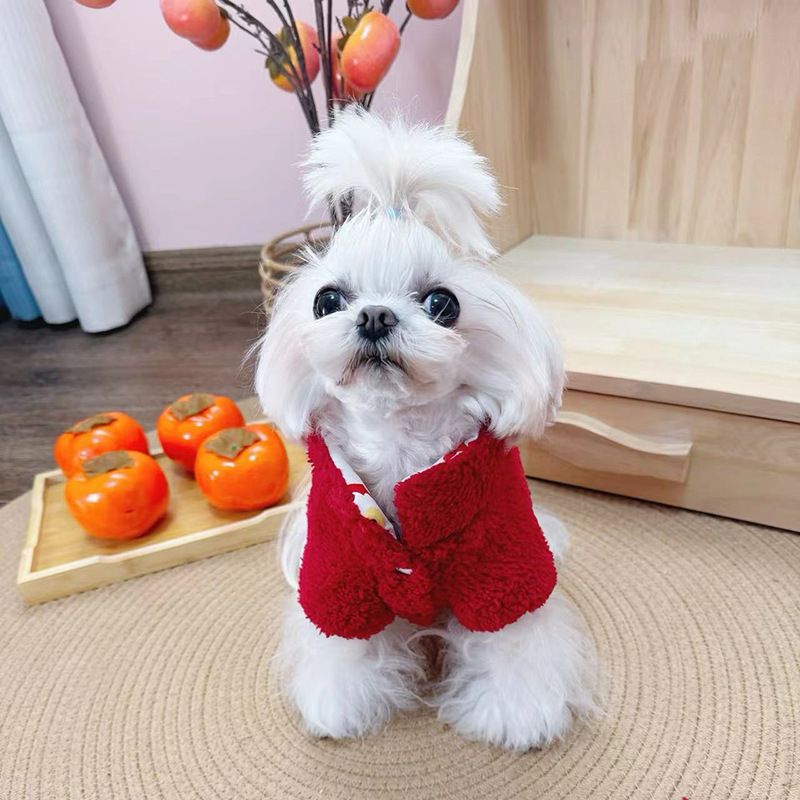 Dog Cat New Year Warm Cotton Clothes Festive Pet Clothing Reversible_voghion.com