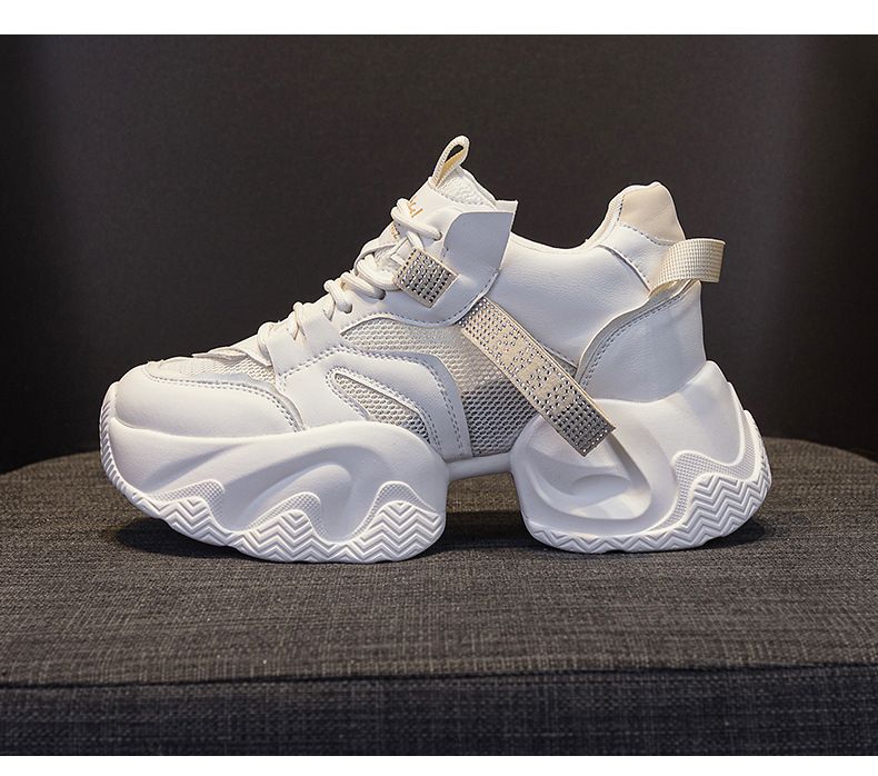 Thick-soled Transparent Mesh And Double-layer Mesh Heightening Dad Shoes Casual Versatile Style Small Women's Shoes_voghion.com