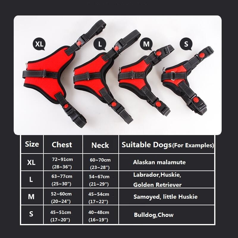 Collare per cani in nylon super resistente, estensore morbido regolabile per cani di taglia extra large, media e piccola, gilet, prodotti per husky di PawParty Store_voghion.com