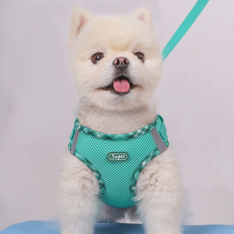 Pettorina antiscivolo Super per cani_voghion.com