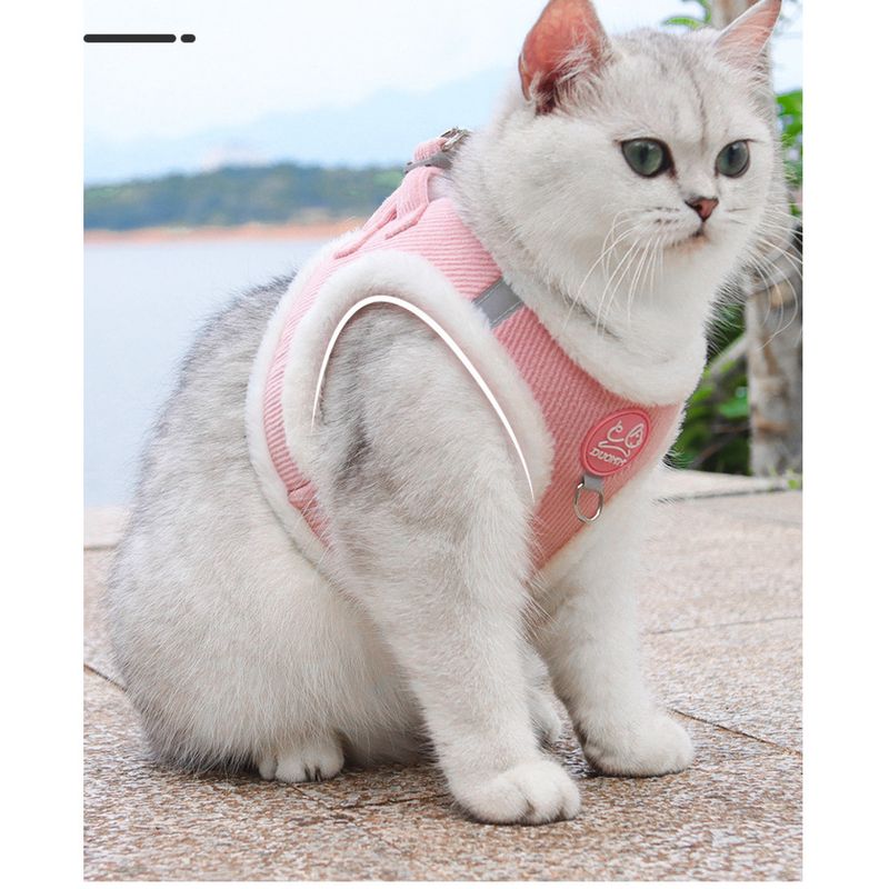 Pettorina per cani in stile gilet per gattini e cani di piccola taglia, guinzaglio anti-soffocamento in velluto a coste per Bichon Pomerania_voghion.com