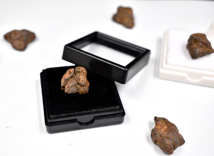 Kenya Serico Olive Meteorito Meteorito Ferro Meteorito Tiantie Noroeste Não-condrito Ensino Espécime de Ciência Popular_voghion.com